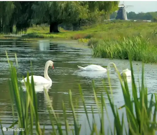 Luxus-Ferienhaus 8 Personen