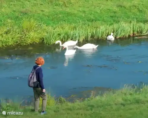 Luxus-Ferienhaus 8 Personen