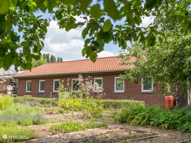 Maison de vacances avec vue imprenable | Pays-Bas, Limbourg, Reuver - maison de vacances Vue extérieure