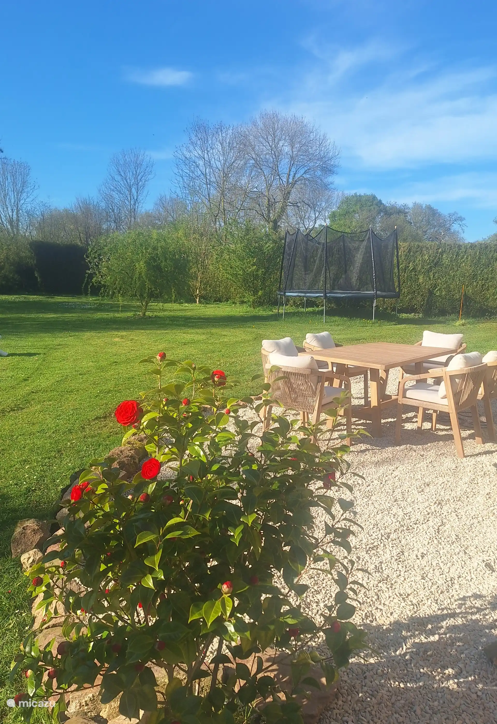 Het heerlijke terras met tuin
