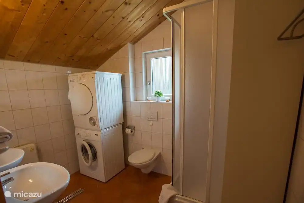 Upstairs bathroom with double sink, shower, toilet, washing machine and dryer