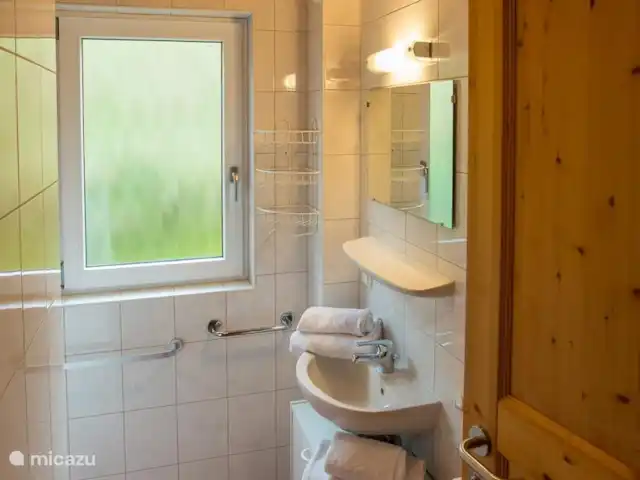 Almchalet Annaberg im Lammertal huren in Oostenrijk, Salzburgerland, Annaberg - vakantiehuis Badkamer beneden voorzien van douchecabine en wastafel
