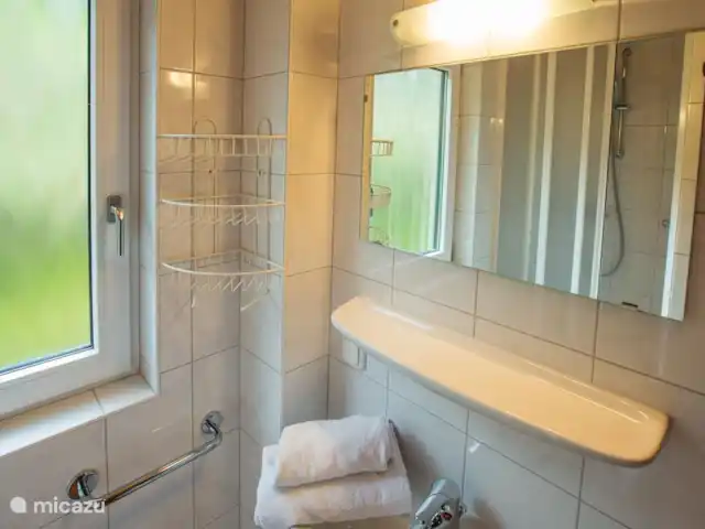 Almchalet Annaberg im Lammertal huren in Oostenrijk, Salzburgerland, Annaberg - vakantiehuis Badkamer beneden