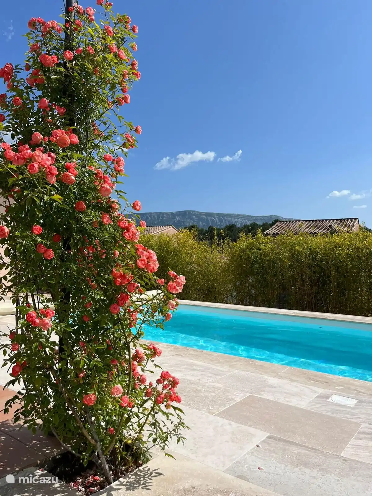 Lavande in Frankreich, Var, Nans-les-Pins - Ferienhaus