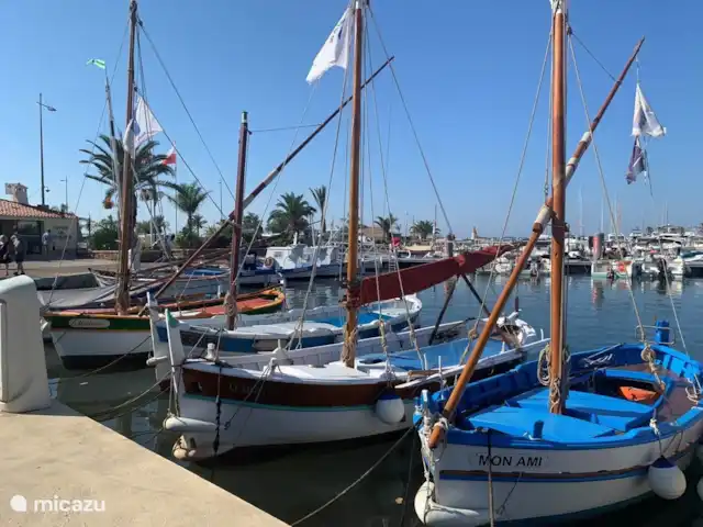Lavande en Francia, Var, Nans-les-Pins - casa vacacional Ciotat