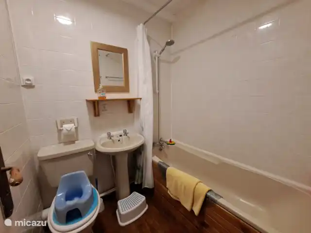Location de Vacances France, Charente-Maritime, Saint-Pierre-de-Juillers, gîte / cottage - Horloge gîte à La Grange du Moulin Salle de bain avec douche sur baignoire