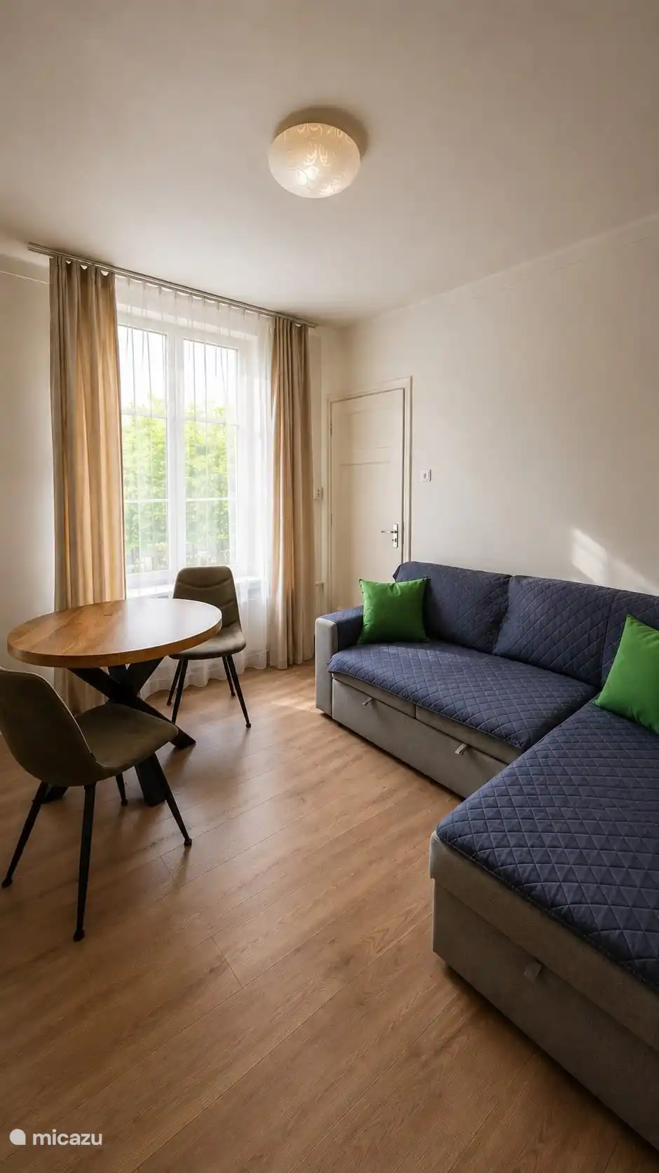 Living room with sofa bed