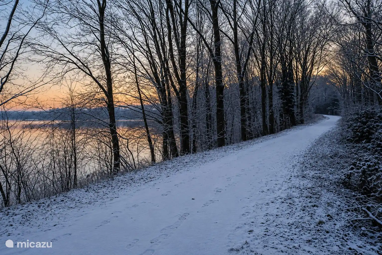 snow Mookerplas