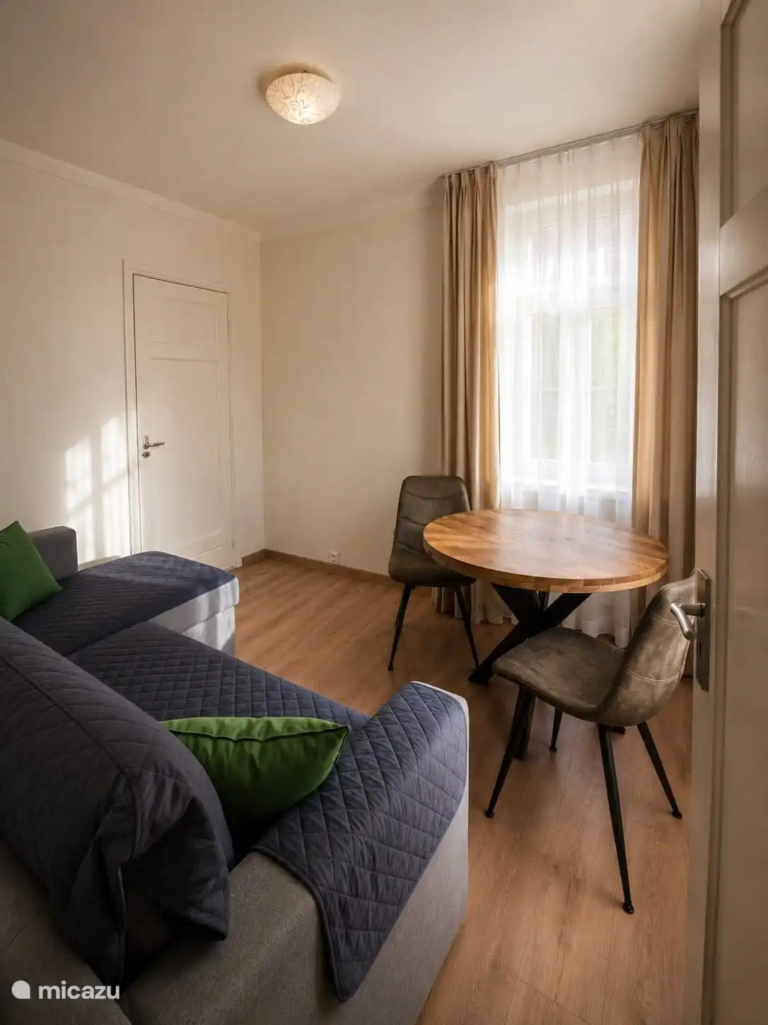 Living room with sofa bed