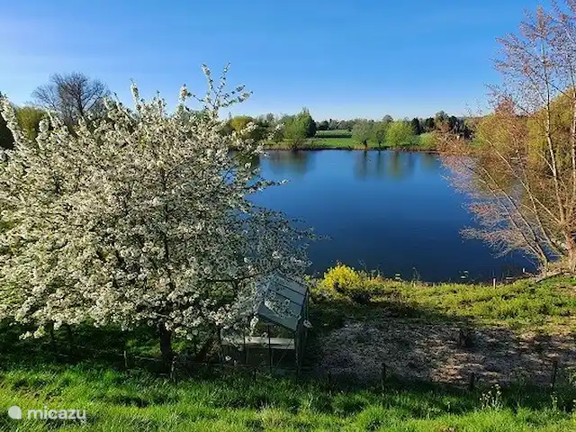casa de campo en Países Bajos, Güeldres, Deest – La Casa del Frente Caminando por el dique