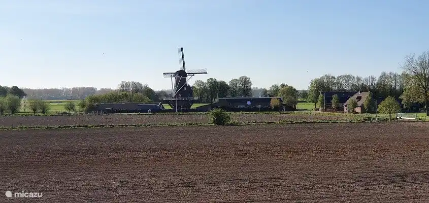 Besuchen Sie auch die Mühle, die jeden Samstag frei zugänglich ist