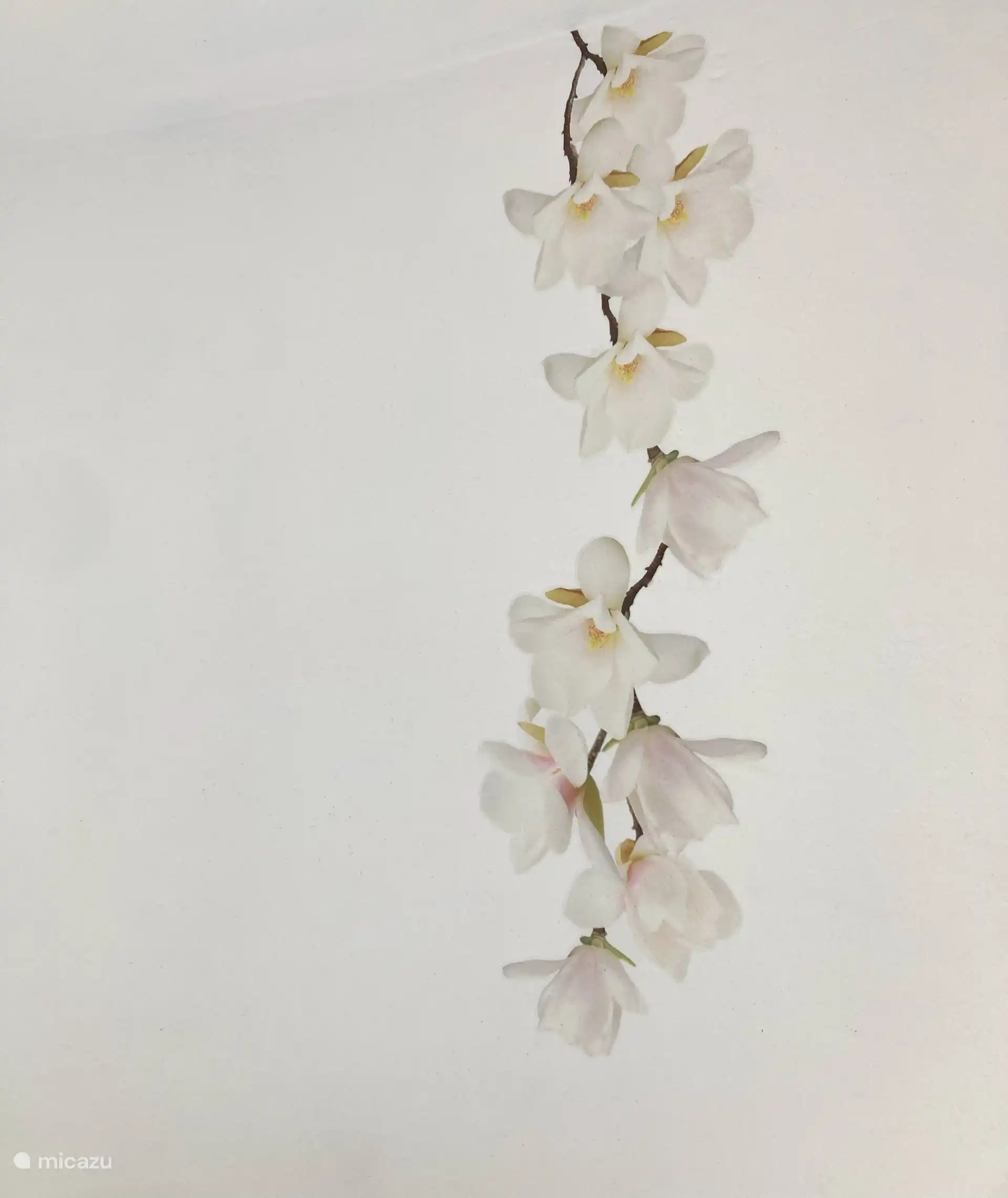 Schlafzimmer 3 im ersten Stock