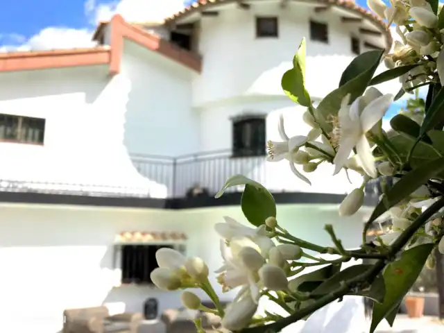 Villa Torre  en España, Valencia, Macastre - villa azahar