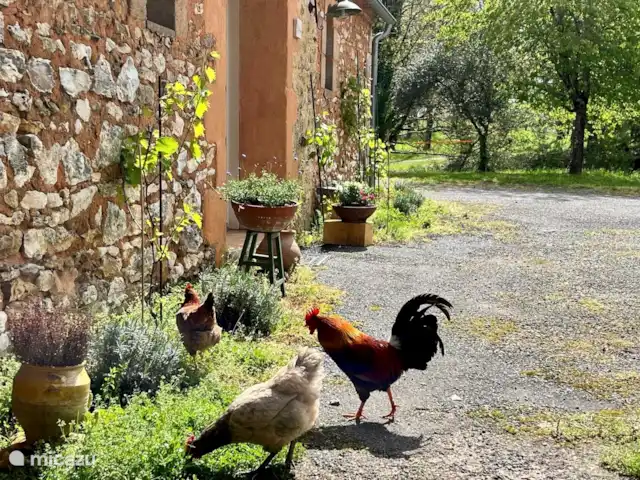 Maison d’art : vacances à la ferme | France, Dordogne, Monpazier - gîte / cottage