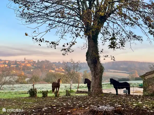 Maison d’art : vacances à la ferme | France, Dordogne, Monpazier - gîte / cottage