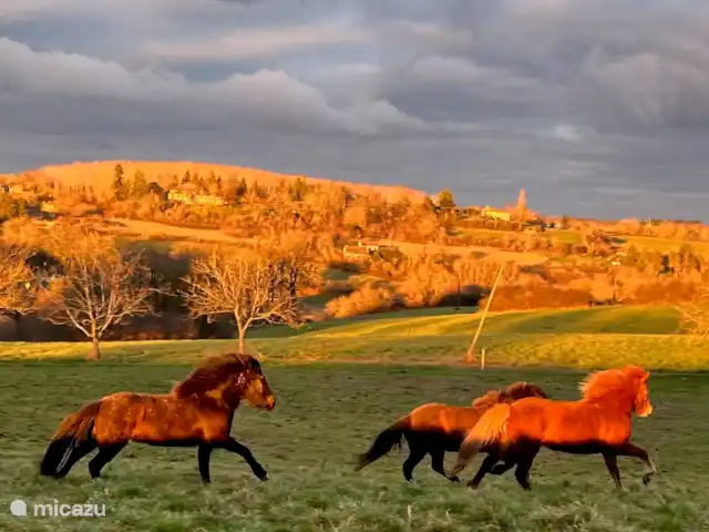 Maison d’art : vacances à la ferme | France, Dordogne, Monpazier - gîte / cottage