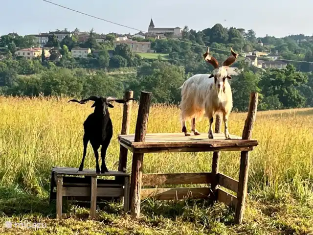 Maison d’art : vacances à la ferme | France, Dordogne, Monpazier - gîte / cottage