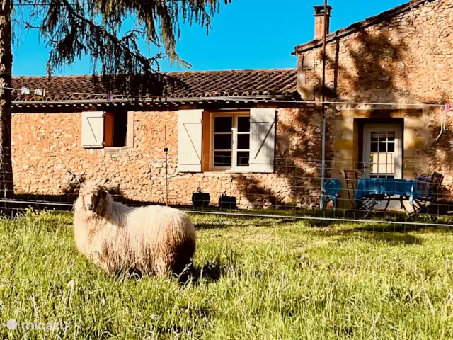 Maison d’art : vacances à la ferme | France, Dordogne, Monpazier - gîte / cottage