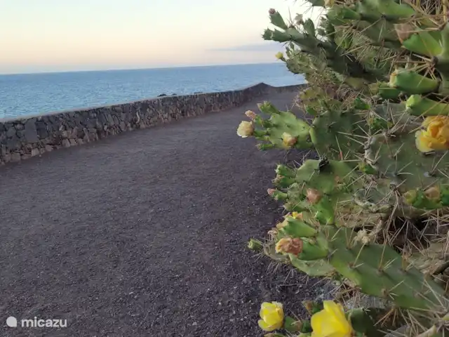 Vista Atlántica Tenerife Sur en España, Tenerife, Costa del Silencio - apartamento Ocean Walk comienza frente a la residencia