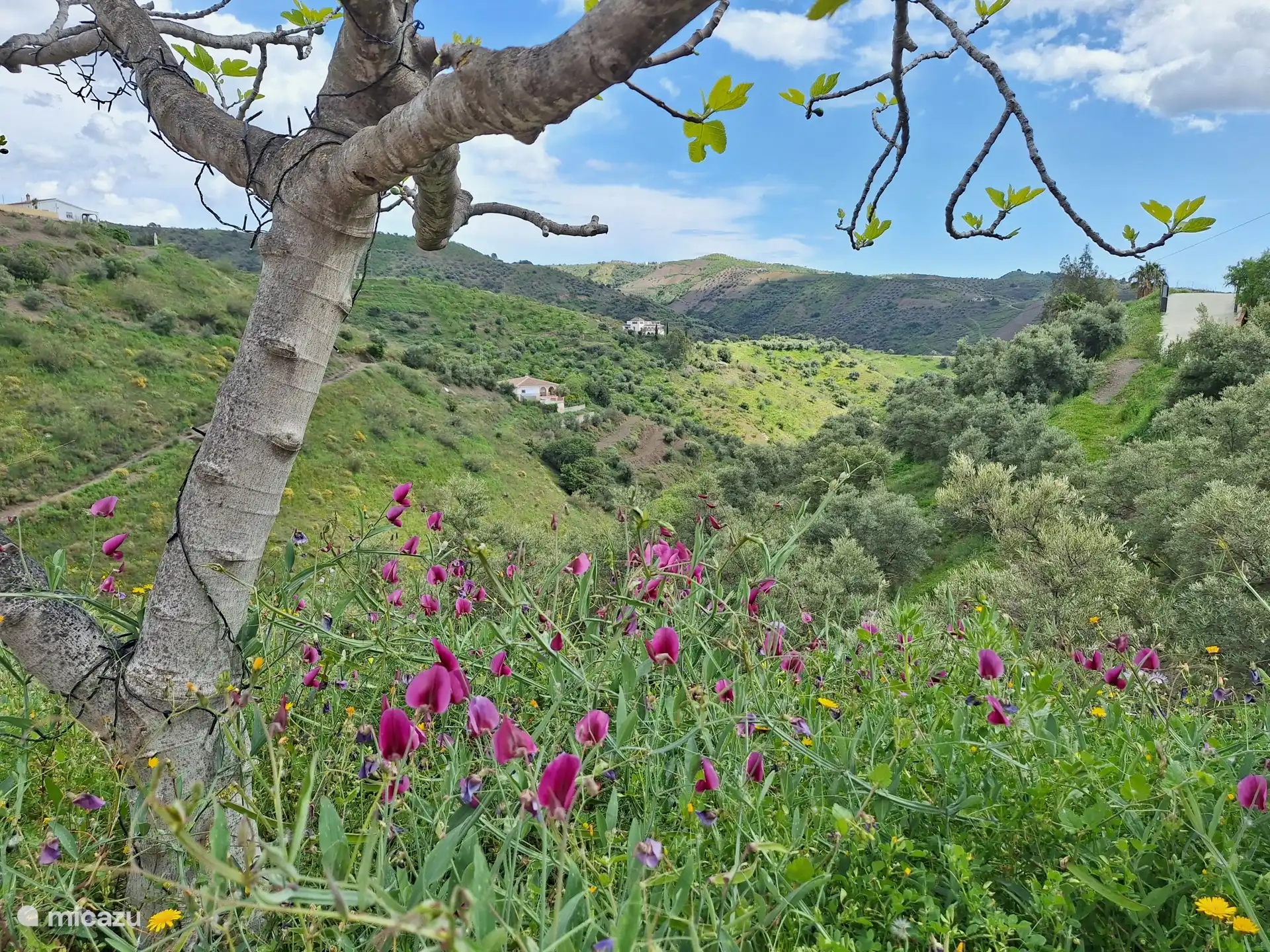 Wegdromen bij dit uitzicht