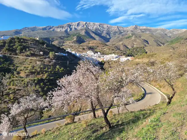 La Casa Algarrobo, invitée dans la nature | Espagne, Andalousie, Sedella - villa Sedella au pied de La Maroma