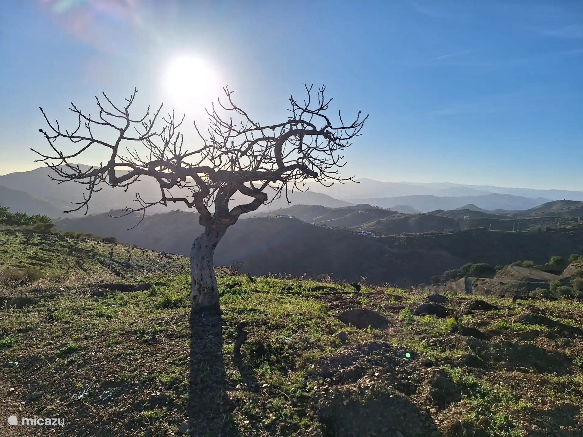 Blick vom Hügel hinter dem Haus