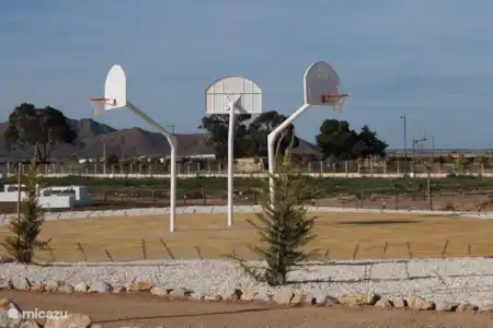 Basket-ball