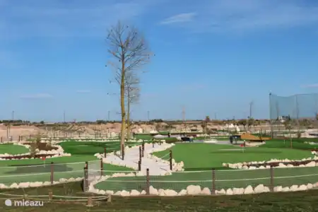 Mini-golf