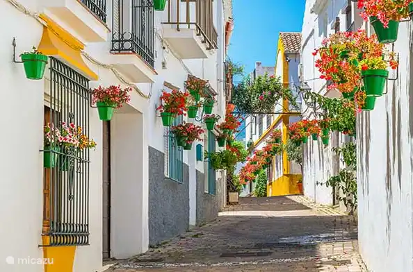 Estepona Street