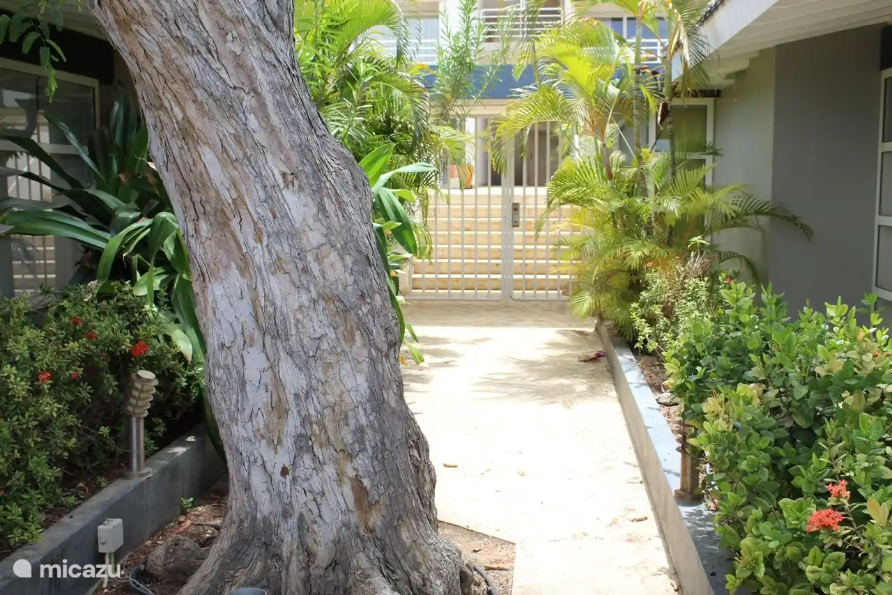 Durch das Tor (mit Schlüssel) betreten Sie den Boulevard / das Meer, wo Sie ein schönes Bad nehmen können.