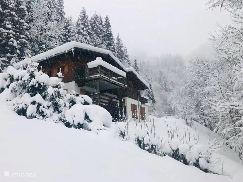 Foto vom Bach im Winter aufgenommen