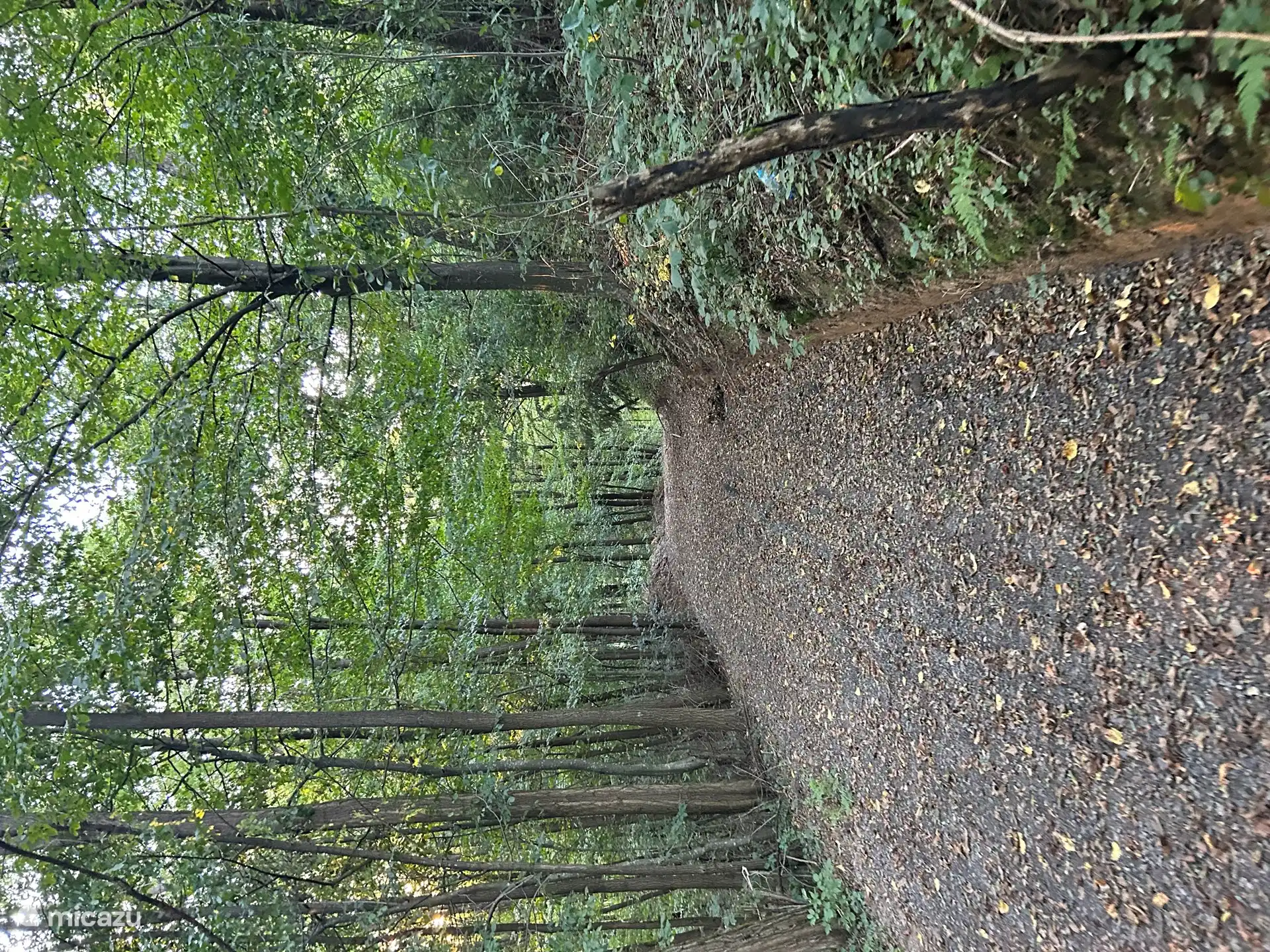 À environ 3 minutes du hhuis, vous vous retrouverez directement dans la belle nature