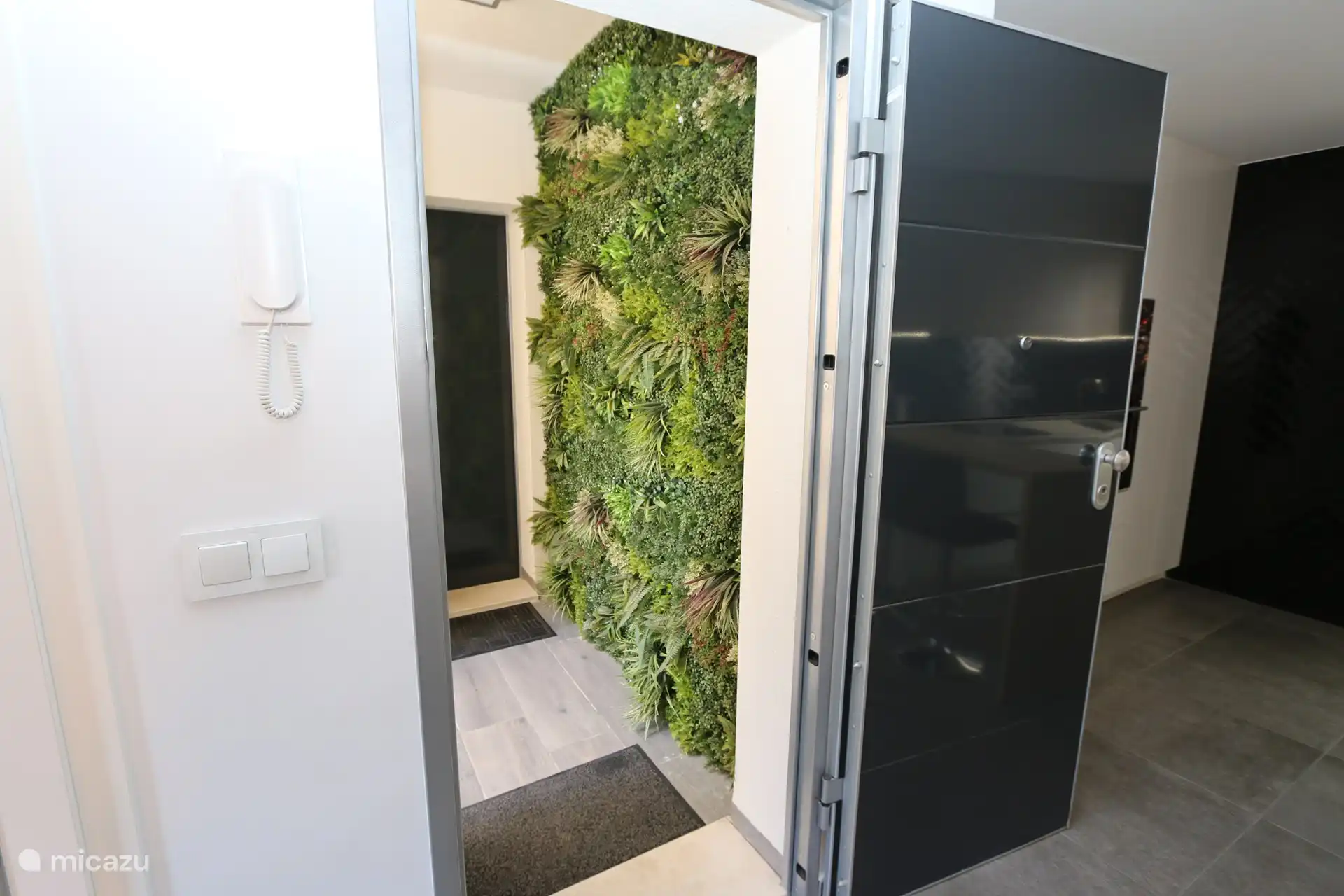 Entrance to the apartment with a vertical garden wall decoration.