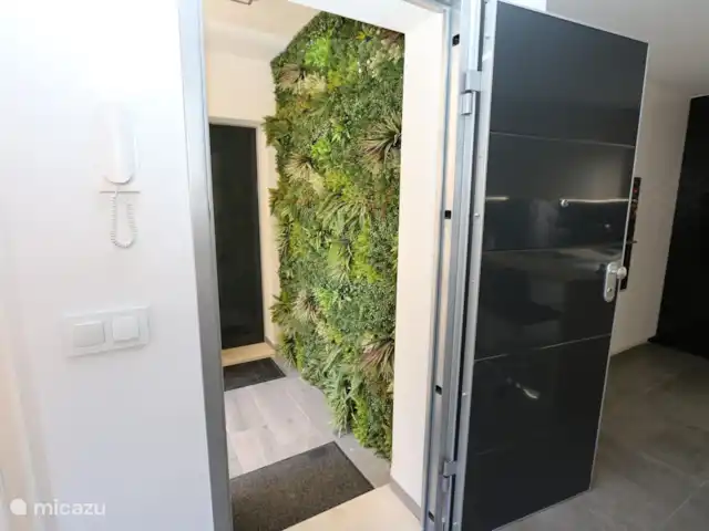 Marau Beach Resort met zeezicht huren in Spanje, Costa Cálida, San Javier - appartement Ingang van het appartement met een verticale tuin muurversiering.