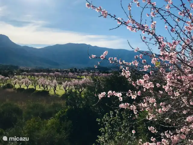 Villa Valle Hermoso | Espagne, Costa Blanca, Alcalali - villa Vallée de Jálon