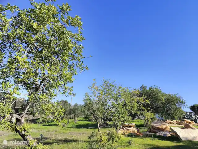 Studio Monte Ouro Verde | Portugal, Algarve, Estoi - studio Jardin