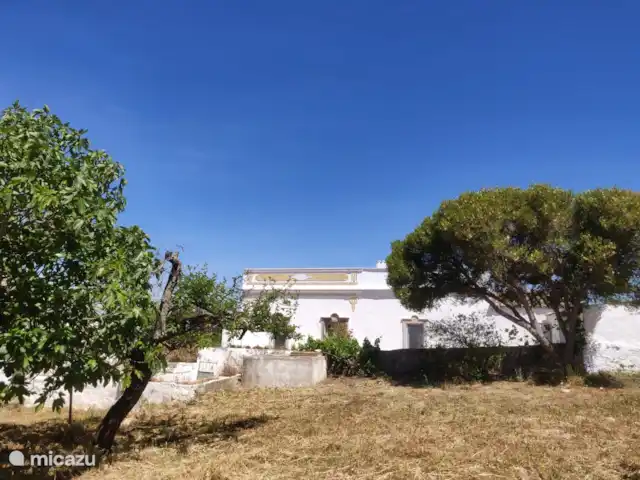 Studio Monte Ouro Verde | Portugal, Algarve, Estoi - studio Devant de la maison