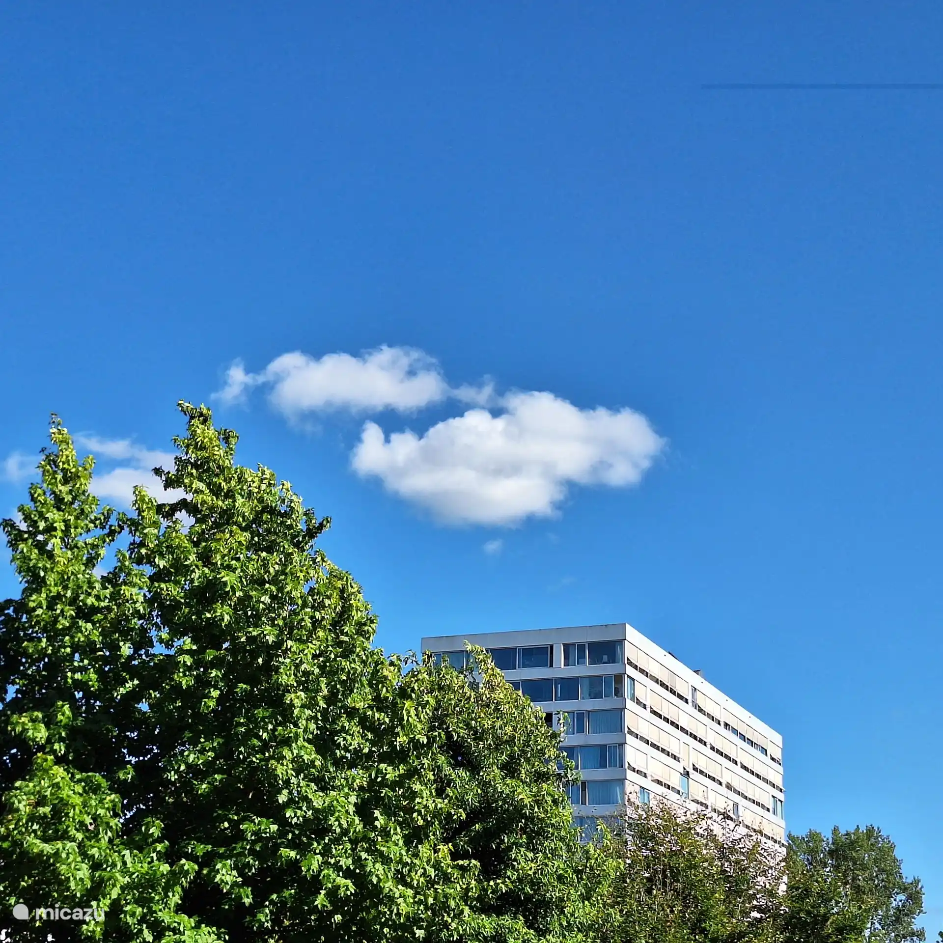 Blick von der Terrasse