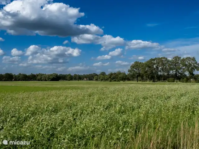 Kolmerhoeve huren in Nederland, Overijssel, Nutter - chalet Omgeving
