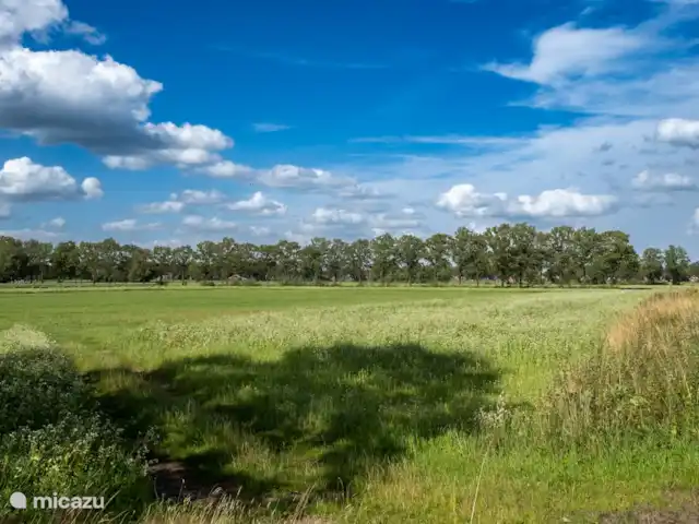 Kolmerhoeve huren in Nederland, Overijssel, Nutter - chalet Omgeving