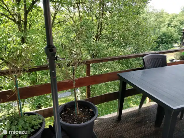 Wandelen, België, Ardennen, Blaimont, bungalow Arduena - Het Ardennetje Terras achterkant huisje