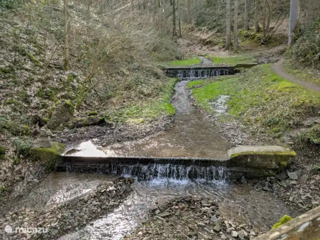 Wandelen, België, Ardennen, Blaimont, bungalow Arduena - Het Ardennetje Beekje in het Domaine du Bonsoy