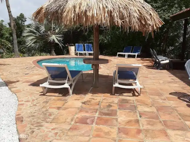 Apartamentos Caya Luna- casita Blenchi en Aruba, Oranjestad, Oranjestad - studio Terraza de la piscina con muchas camas de playa.