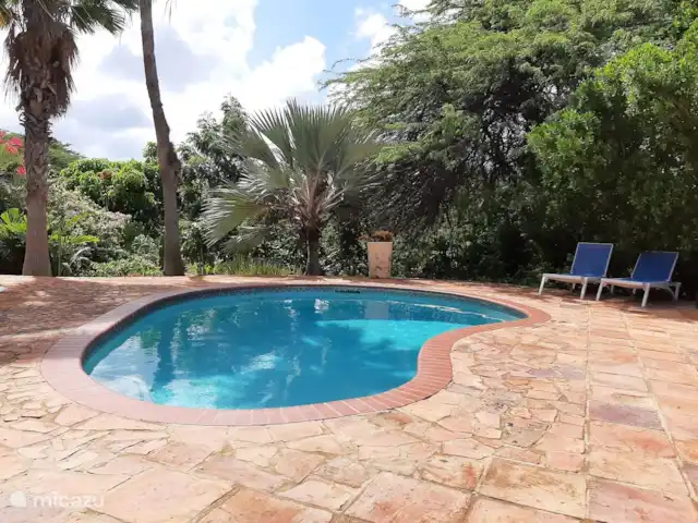 Apartamentos Caya Luna- casita Blenchi en Aruba, Oranjestad, Oranjestad - studio Terraza de la piscina con muchas camas de playa.