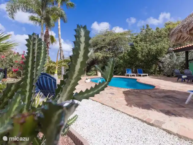 Apartamentos Caya Luna- casita Blenchi en Aruba, Oranjestad, Oranjestad - studio Jardín tropical