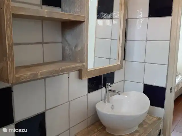 Apartamentos Caya Luna- casita Blenchi en Aruba, Oranjestad, Oranjestad - studio Baño con ducha de agua caliente