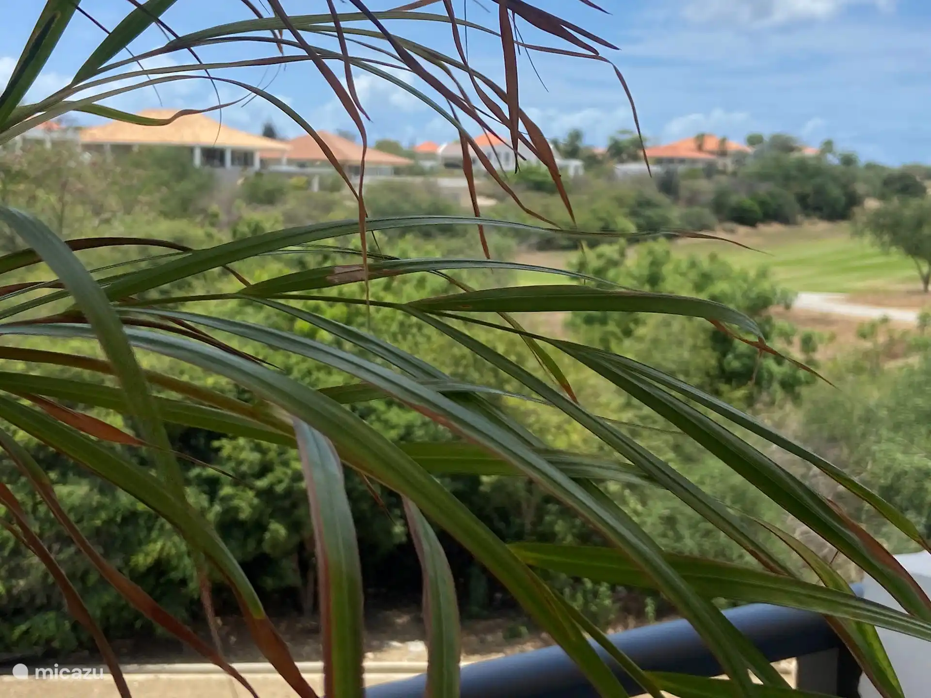 Blick von der Terrasse