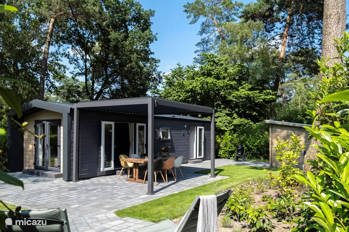 Bonita vista de los árboles. 