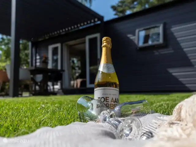 Nuestra casa de campo en el Veluwe: Pinecone en Países Bajos, Güeldres, Beekbergen - chalet Burbuja.