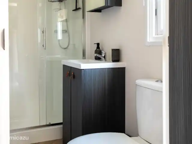 Nuestra casa de campo en el Veluwe: Pinecone en Países Bajos, Güeldres, Beekbergen - chalet Cuarto de baño con inodoro, lavabo y ducha.
